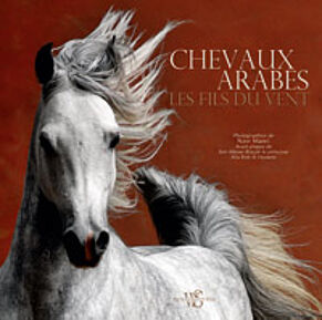 Chevaux arabes