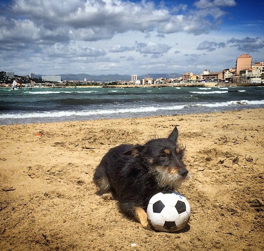 Beany tape dans le ballon à Marseille. © Pablo F.