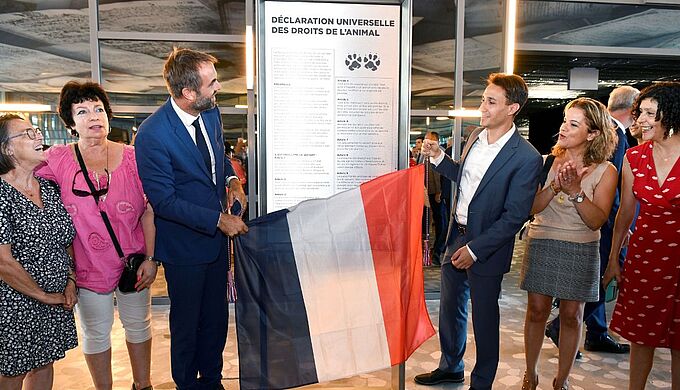 Montpellier devient la 2e ville française à afficher la Déclaration universelle des droits de l’animal en mairie