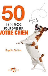 50 tours pour dresser votre chien