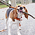 Lancer de bâton ! © MJ The Beagle