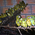 Un nouvel enclos est en construction pour les 200 perroquets confisqués. © Ikamapérou