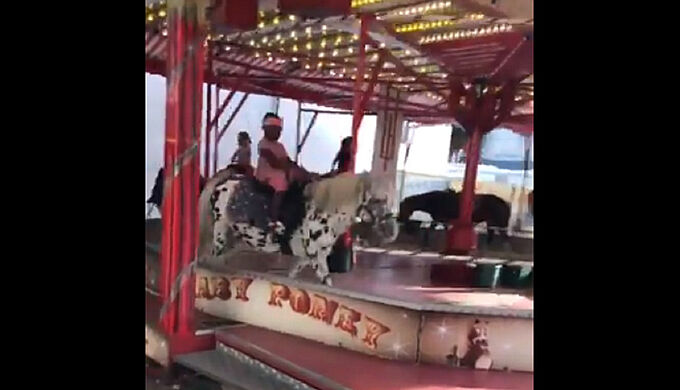 Un manège de poneys vivants dans une foire de Bruxelles provoque l’indignation