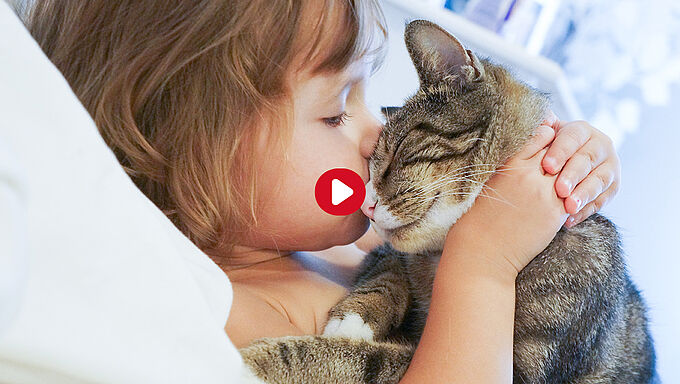 Sensibiliser les enfants au respect de l’animal est un enjeu majeur