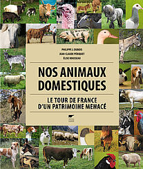 Nos animaux domestiques