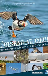 L'oiseau au coeur