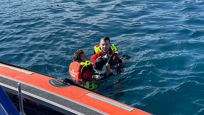 En Corse, un chien échappe de justesse à la noyade grâce à l'intervention des sauveteurs en mer. Dites-leur merci !