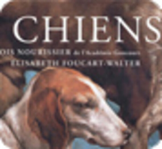 chiens