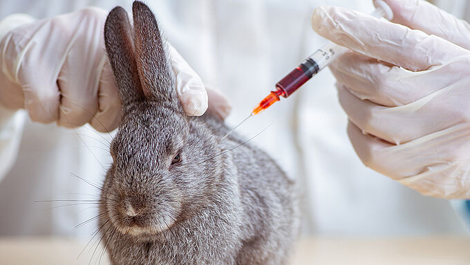 Deux lanceurs d'alerte révèlent l'horreur dans certains laboratoires d'expérimentation animale