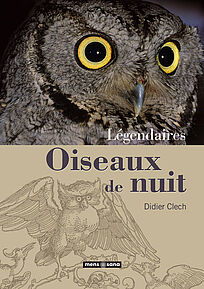 Légendaires oiseaux de nuit