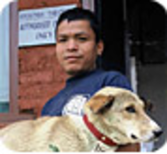 2 000 euros pour les chiens de Katmandou