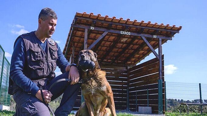 Ils créent une maison de retraite pour chiens-policiers