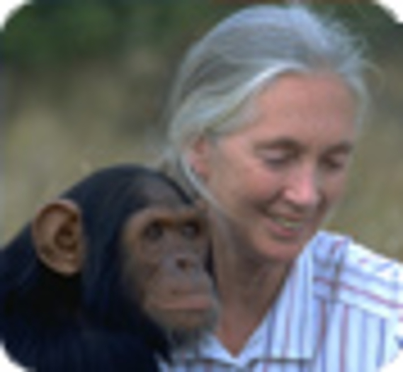 Le cri d’alarme de Jane Goodall