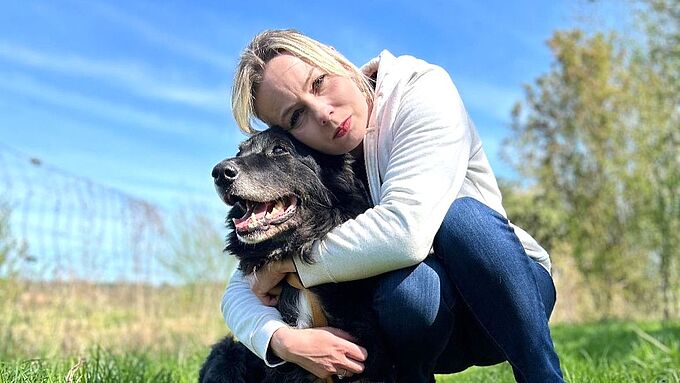 Émouvant ! Le doyen Falco adopté après… 10 années au refuge !
