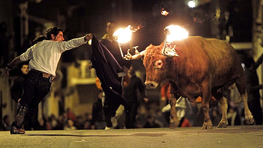 Le "Toro embolado" est une pratique consistant à mettre le feu aux cornes du taureau.../©Flickr