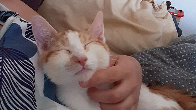 Tabassé et plongé sous l’eau, Riku apprend la douceur dans son nouveau foyer