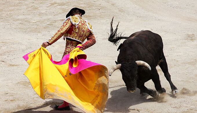 La justice dit NON à la corrida à Pérols (34) 