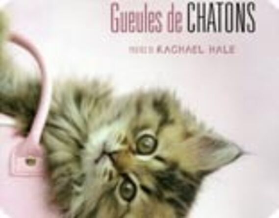 Gueules de chatons