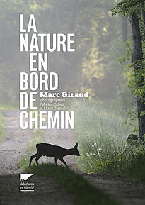 La nature en bord de chemin