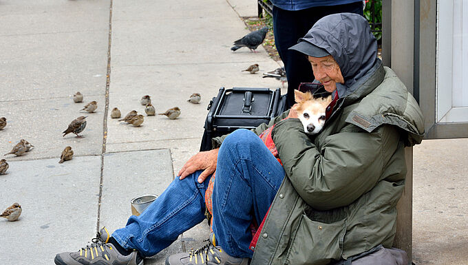Des étudiants et des bénévoles se mobilisent pour aider les animaux de la rue. Une initiative solidaire à partager