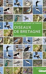 Oiseaux de Bretagne