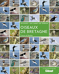 Oiseaux de Bretagne