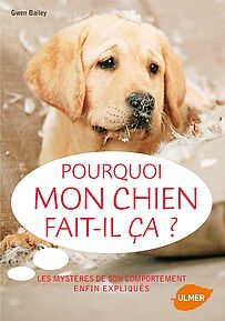 Pourquoi mon chien fait-il ça ?