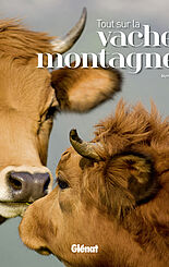 Tout sur la vache des montagnes