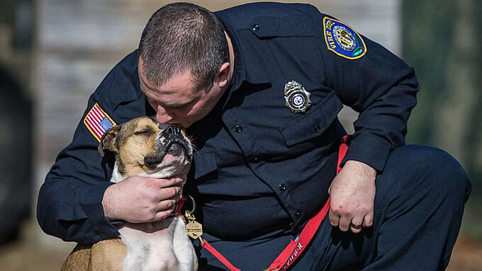 Condamnés à l’euthanasie, ces chiens œuvrent désormais au service de la communauté !