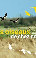 Les oiseaux de chez nous