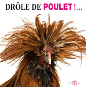 Drôle de poulet
