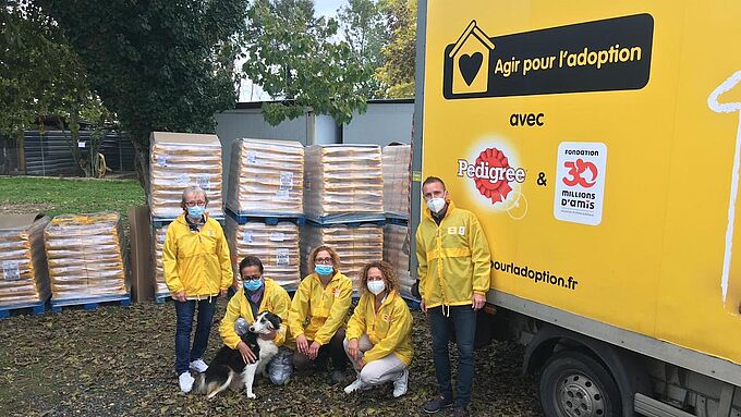 Des millions de repas distribués aux chiens de refuge grâce à l'opération « Agir pour l'Adoption »