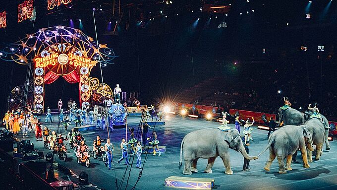 « Les éléphants perdaient peu à peu la raison » : le repentir d’une ex-employée du cirque Barnum