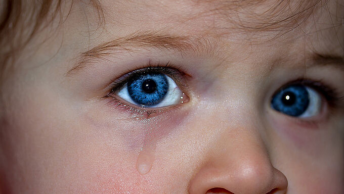 Protéger les enfants des violences faites aux animaux