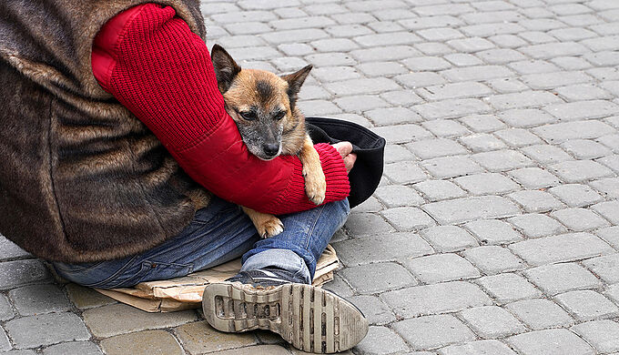 La Fondation 30 Millions d'Amis implore le gouvernement de maintenir le lien entre les sans-abris et leurs animaux