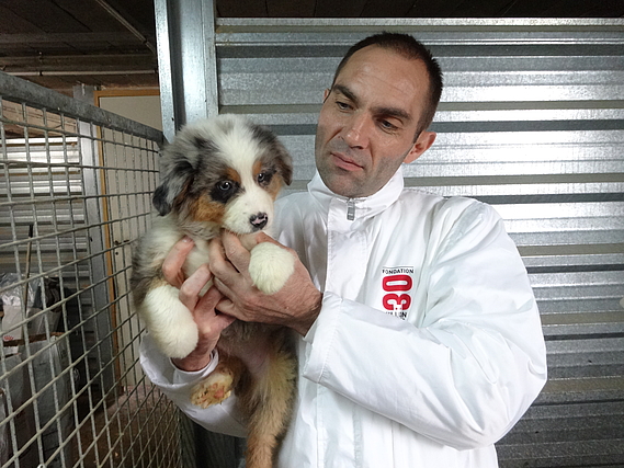 Sauvetage de 160 chiens confiés à la Fondation 30 Millions d'Amis