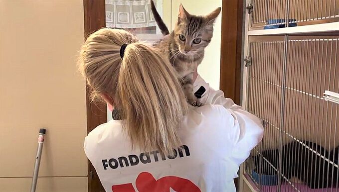 110 chats dans une maison ! L’impressionnant sauvetage de la Fondation 30 Millions d’Amis