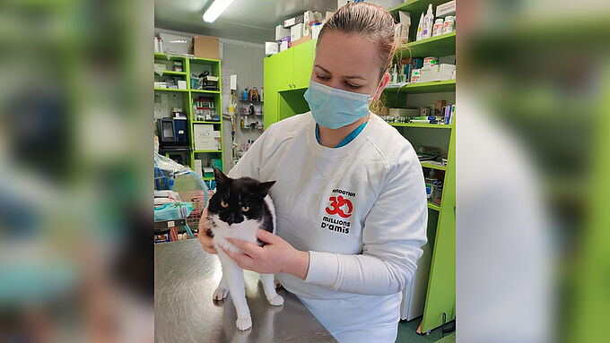 Cette véto, soutenue par 30 Millions d’Amis, agit pour les Ukrainiens et leurs animaux (Vidéo)