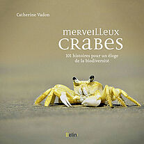 Merveilleux crabes