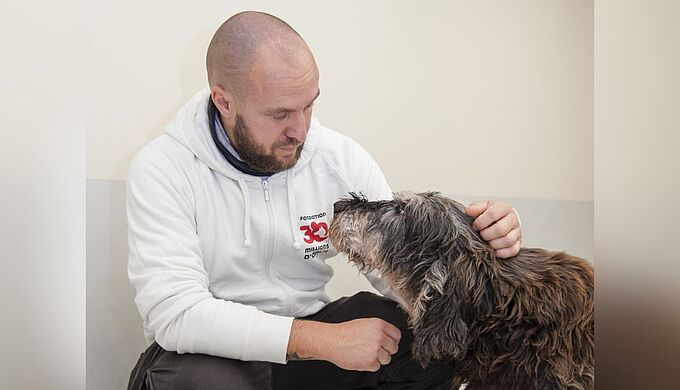 Fondation 30 Millions d’Amis : 30 ans au cœur du combat pour les animaux