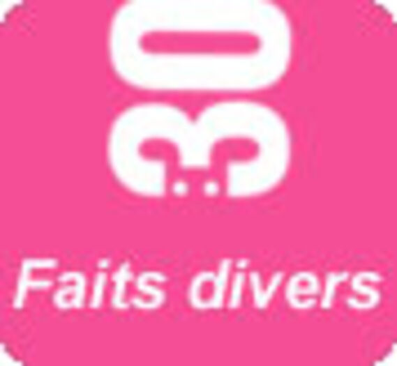 Allemagne: décès de Paul le poulpe, grand devin du football