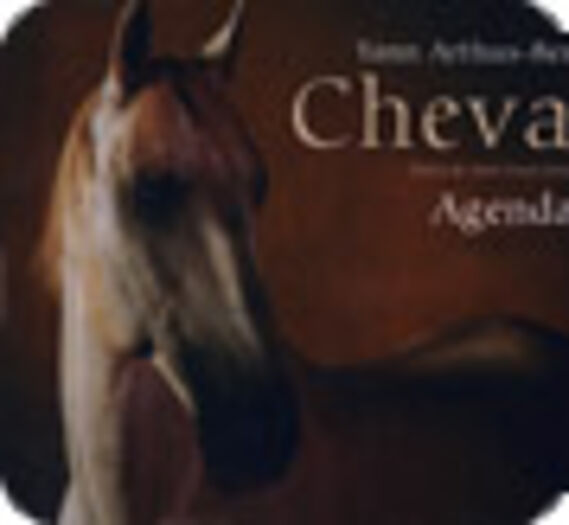 Chevaux agenda