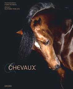 Chevaux