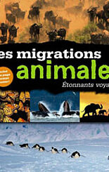 Les migrations animales