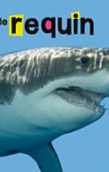 Le requin