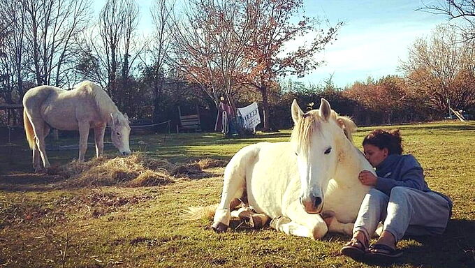 Une famille qui recueille des animaux, terrorisée par des chasseurs. Soutenons-la.