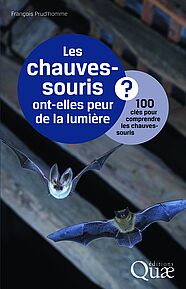 Les chauves-souris ont-elles peur de la lumière ?