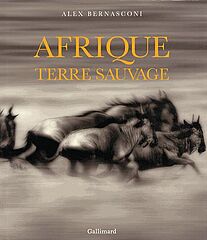 Afrique, Terre sauvage