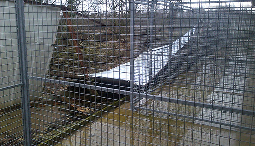 A cause des intempéries, la clôture du refuge était tombée. © SPA de Gray et Haute-Saône
