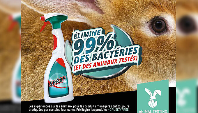 Les produits ménagers, objets du quotidien... souvent testés sur les animaux !
